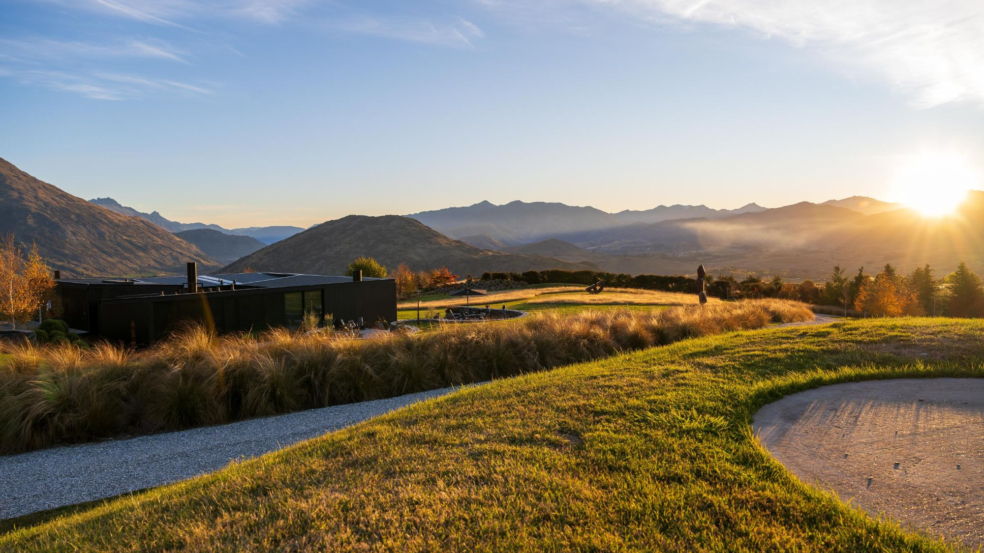 Tussock and grassland at sunset with mountain ranges behind